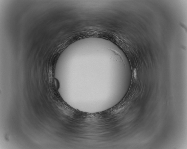 X0000096191203200801181001