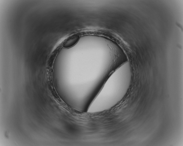 X0000096191208200801181001