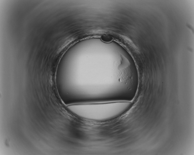 X0000096191209200801181001