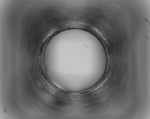 X0000096191211200801181001
