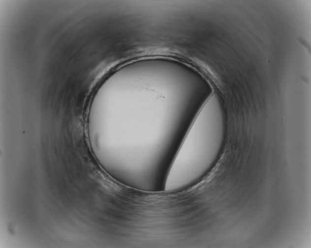 X0000096191212200801181001