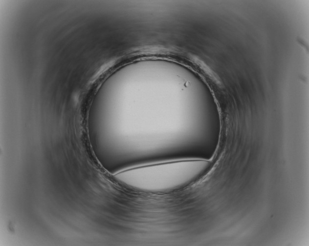 X0000096191213200801181001