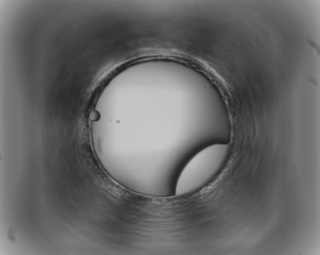 X0000096191215200801181001