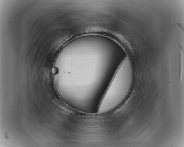X0000096191217200801181001