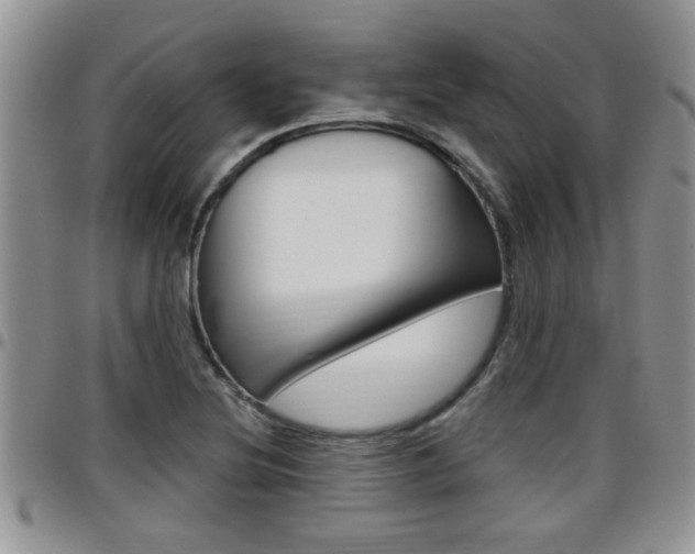 X0000096191220200801181001