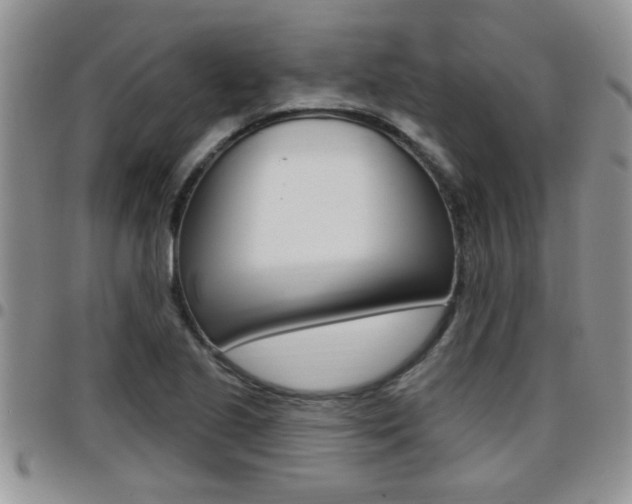 X0000096191221200801181001
