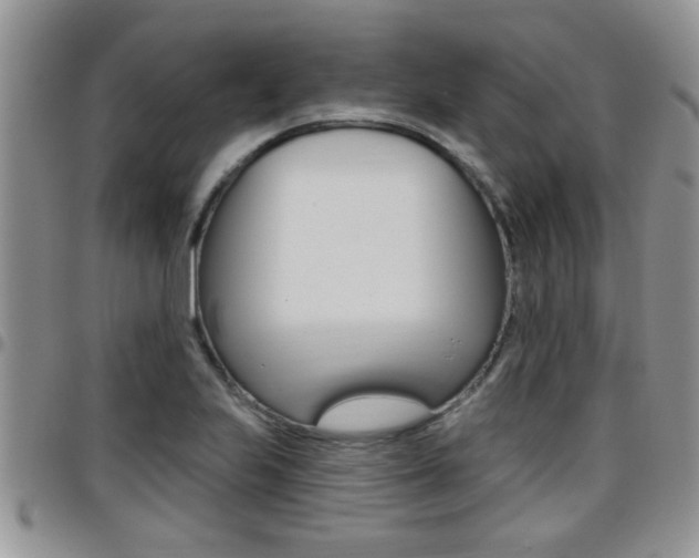 X0000096191223200801181001