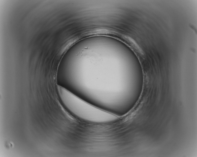 X0000096191225200801181001