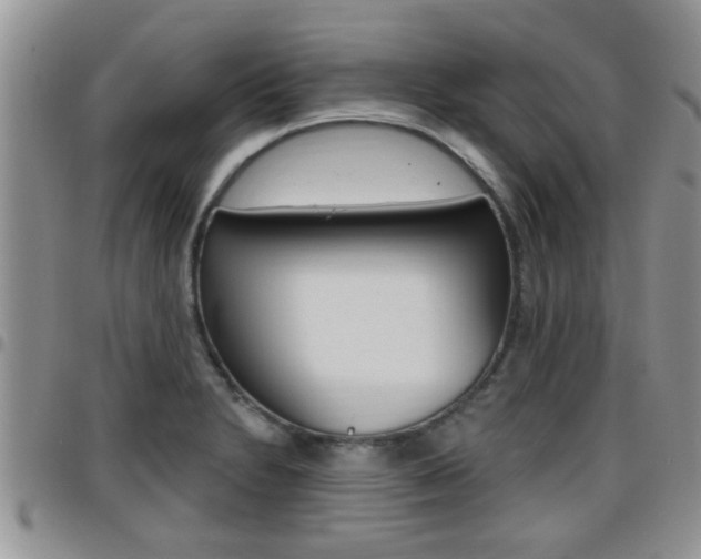 X0000096191230200801181001