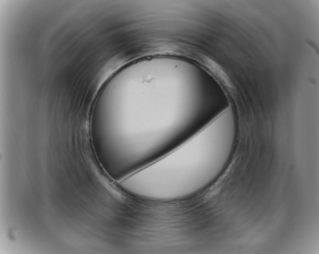X0000096191234200801181001