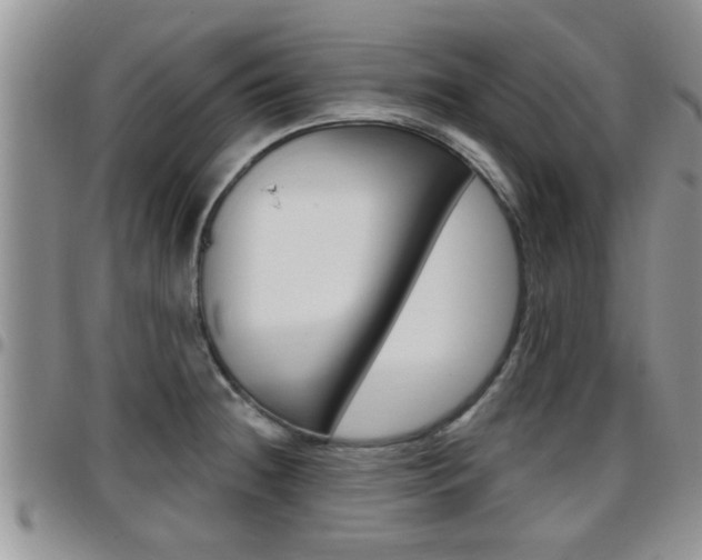 X0000096191236200801181001