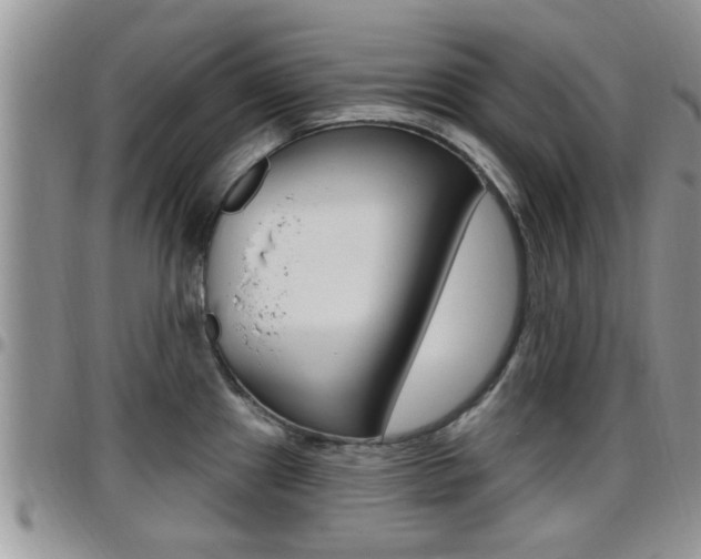 X0000096191241200801181001
