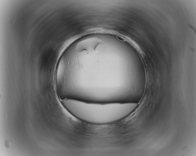 X0000096191247200801181001