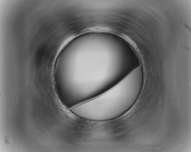 X0000096191248200801181001
