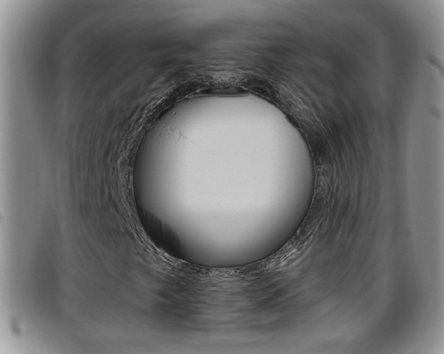 X0000096191249200801181001