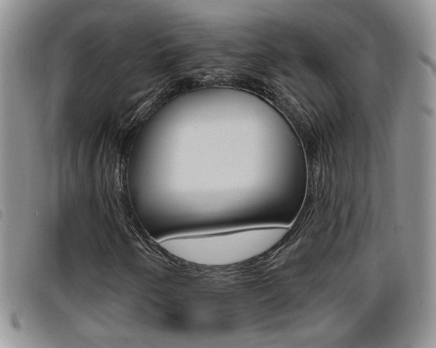 X0000096191250200801181001