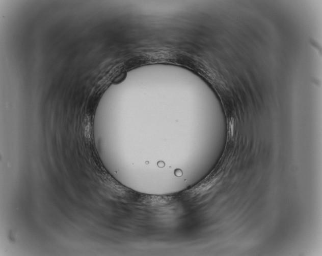 X0000096191251200801181001