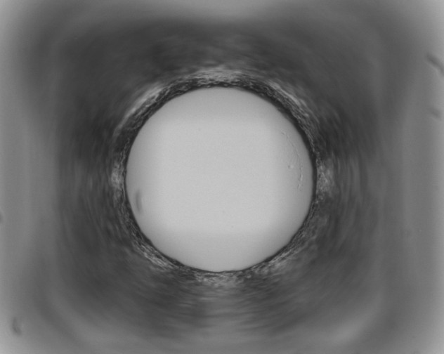 X0000096191254200801181000