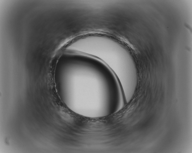 X0000096191256200801181000