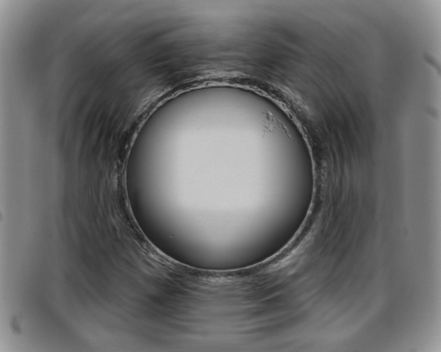 X0000096191257200801181000