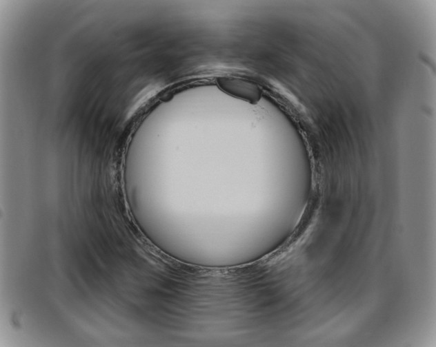 X0000096191259200801181000
