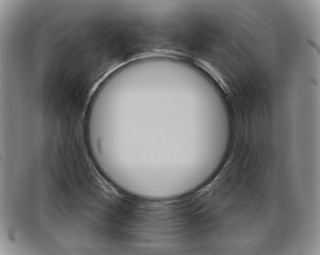X0000096191260200801181000