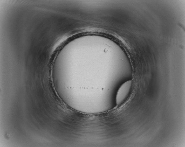 X0000096191263200801181000