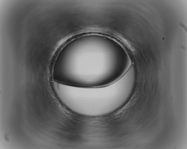 X0000096191264200801181000
