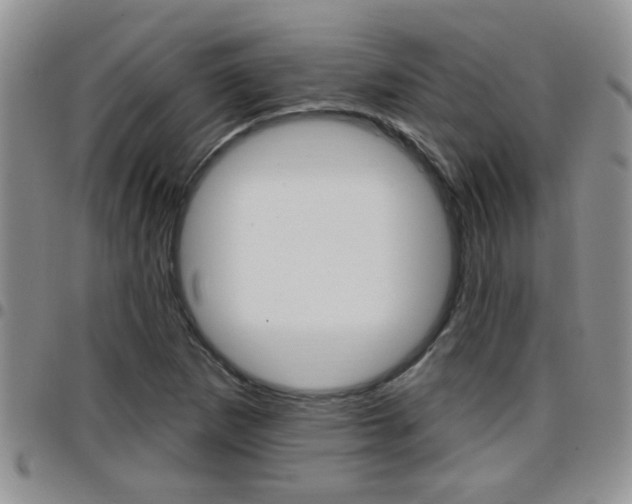 X0000096191265200801181000