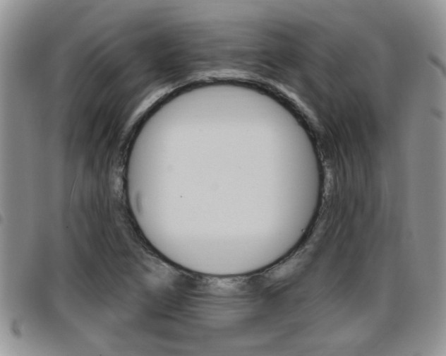 X0000096191266200801181000