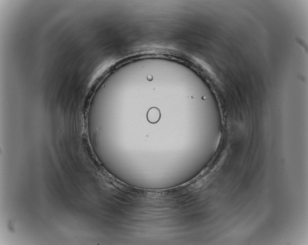 X0000096191267200801181000