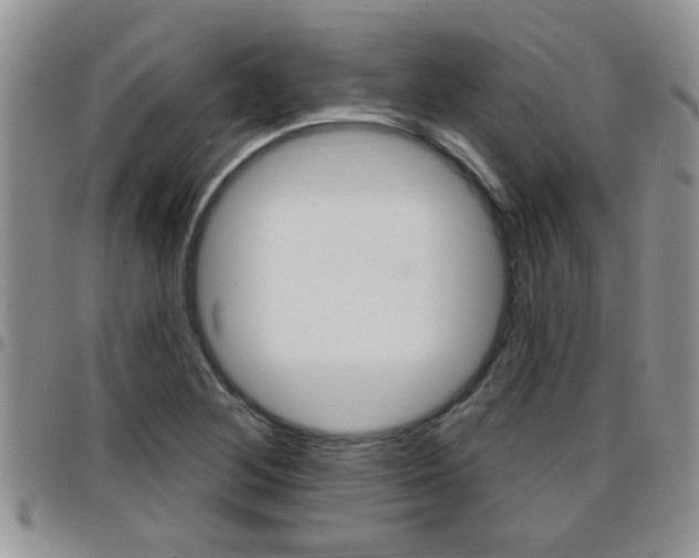 X0000096191268200801181000