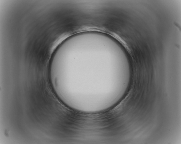 X0000096191269200801181000