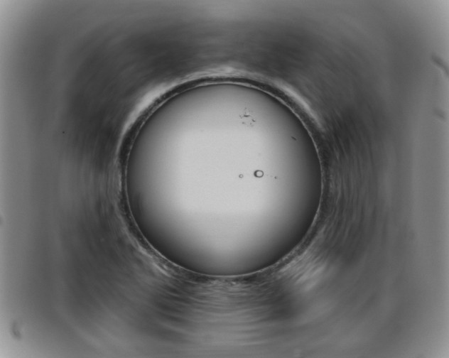 X0000096191270200801181000