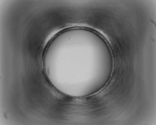 X0000096191271200801181000
