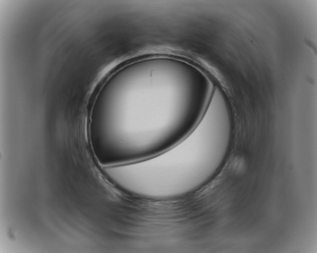 X0000096191272200801181000
