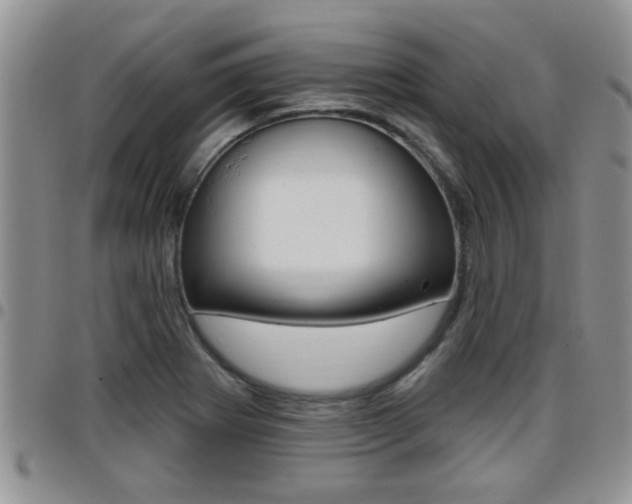 X0000096191273200801181000