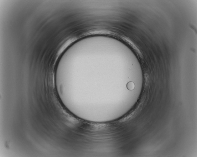 X0000096191274200801181000