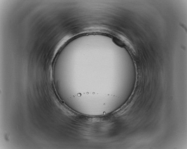 X0000096191275200801181000