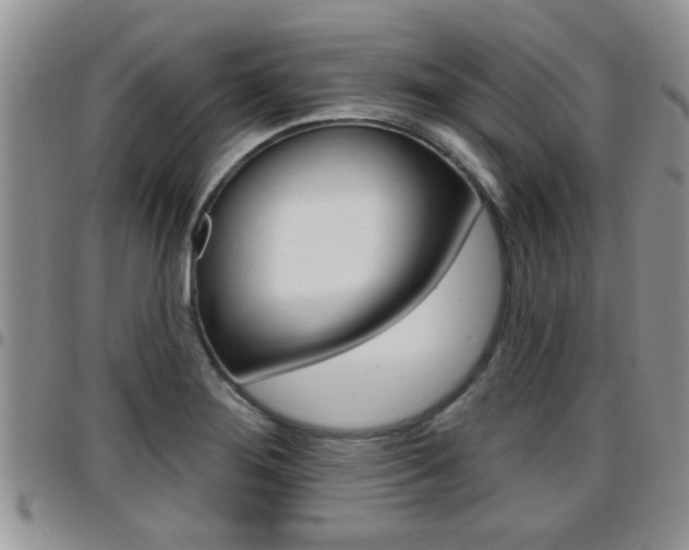 X0000096191276200801181000