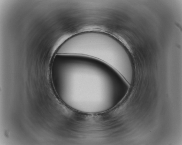 X0000096191277200801181000