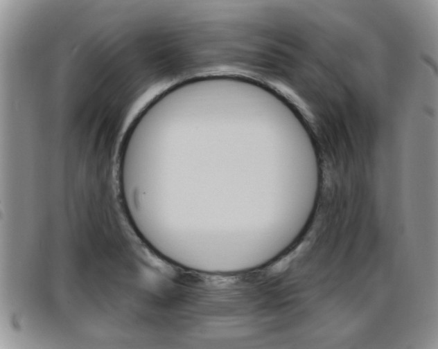 X0000096191278200801181000