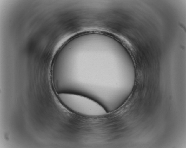 X0000096191279200801181000