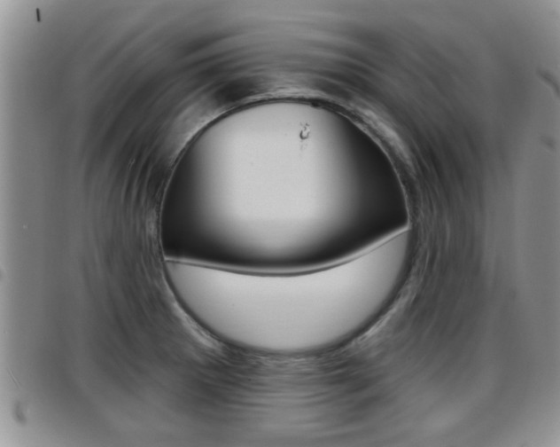 X0000096191281200801181000