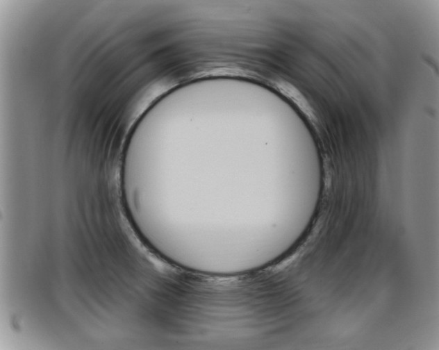 X0000096191282200801181000