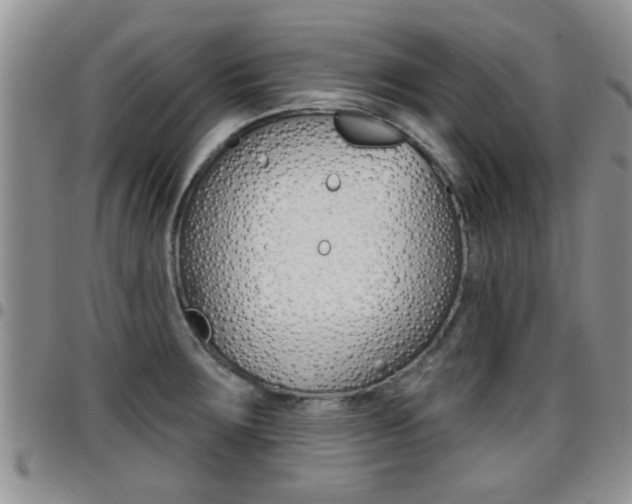 X0000096191283200801181000