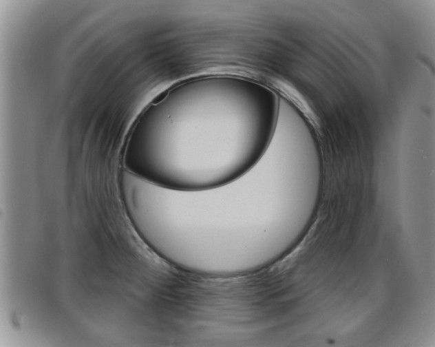 X0000096191284200801181000
