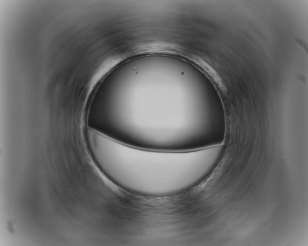 X0000096191285200801181000