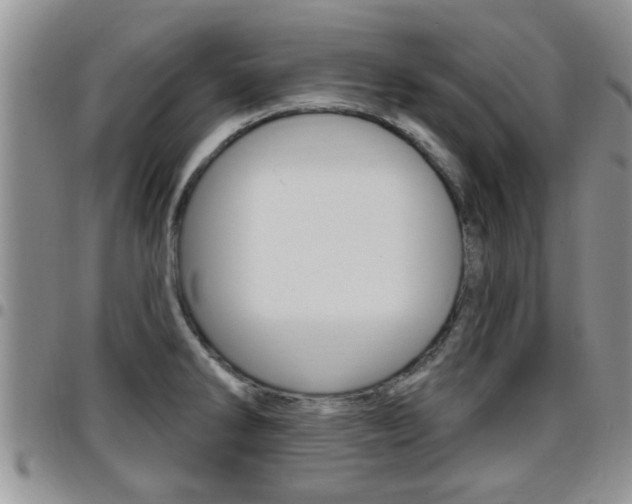X0000096191286200801181000