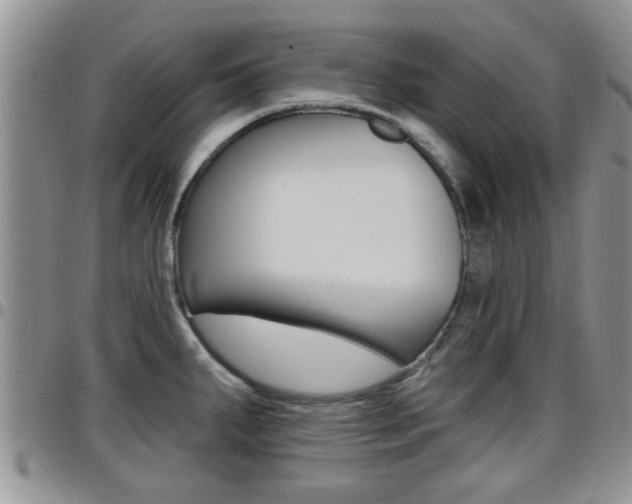 X0000096191287200801181000